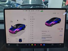 Tesla Model 3 606km Rear-Wheel Drive Edition - фото 17