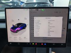 Tesla Model 3 606km Rear-Wheel Drive Edition - фото 18