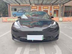 Tesla Model 3 556km Rear-Wheel Drive Edition - photo 2
