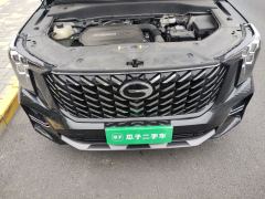 GAC GS8 2.0T 2WDLuxury Edition 7 - photo 16