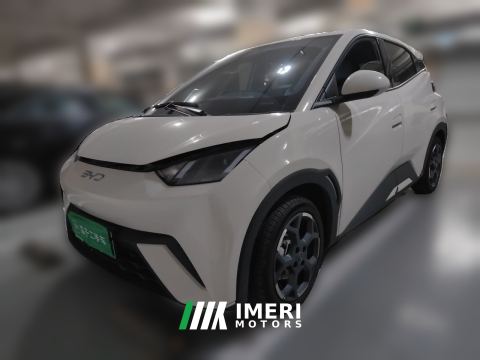 2025 BYD Seagull 305km Free Version - ავტომობილი ჩინეთიდან