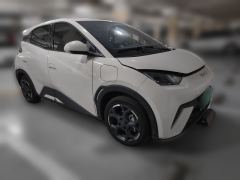 BYD Seagull 305km Free Version - ფოტო 3