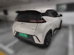 BYD Seagull 305km Free Version - ფოტო 6
