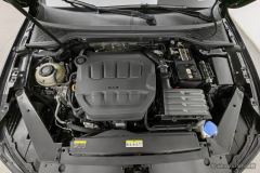 Volkswagen Magotan 2 Million Edition 330TSI Leading Edition - photo 7