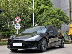 Tesla Model 3 556km Rear-Wheel Drive Edition - photo 1