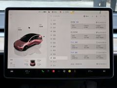 Tesla Model 3 556km Rear-Wheel Drive Edition - photo 8