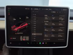 Tesla Model 3 556km Rear-Wheel Drive Edition - photo 20