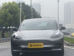 Tesla Model 3 556km Rear-Wheel Drive Edition - ფოტო 2
