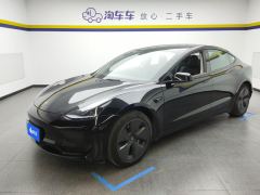Tesla Model 3 556km Rear-Wheel Drive Edition - фото 1