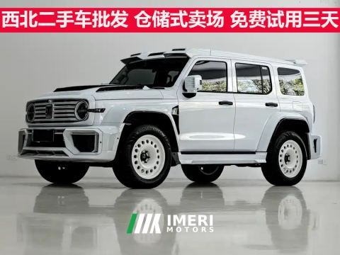 2025 Tank 300 New Energy 2.0T Hi4-T 37.1kWh - car from China