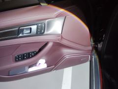 Porsche Panamera 4 Edition 2.9T - ფოტო 13
