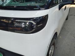 Maxus Dà Ná V1L EV Edition 403km Edition - ფოტო 4