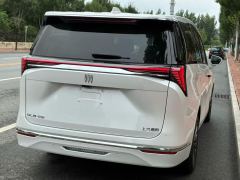 Buick GL8 Luxun 2.0T First Edition - photo 9