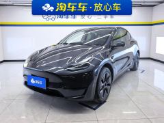 Tesla Model Y 554km Rear-Wheel Drive Edition - ფოტო 1