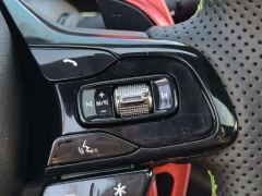 GAC Chuanqi Shadow Leopard 270T DCT R-Style Vigor Enjoyment Edition - photo 15