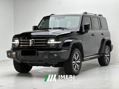 2021 Tank 300 2.0T Ranger - car from China