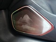 FAW Hongqi H5 2.0T Auto Flagship Edition - photo 17
