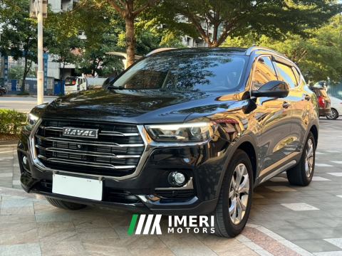 2021 Haval H6 Guochao Edition 1.5T 2WD Champion Edition - ავტომობილი ჩინეთიდან