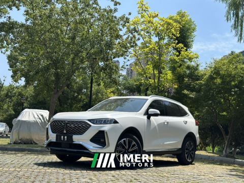 2022 Great Wall Wei brand latte 1.5T DHT