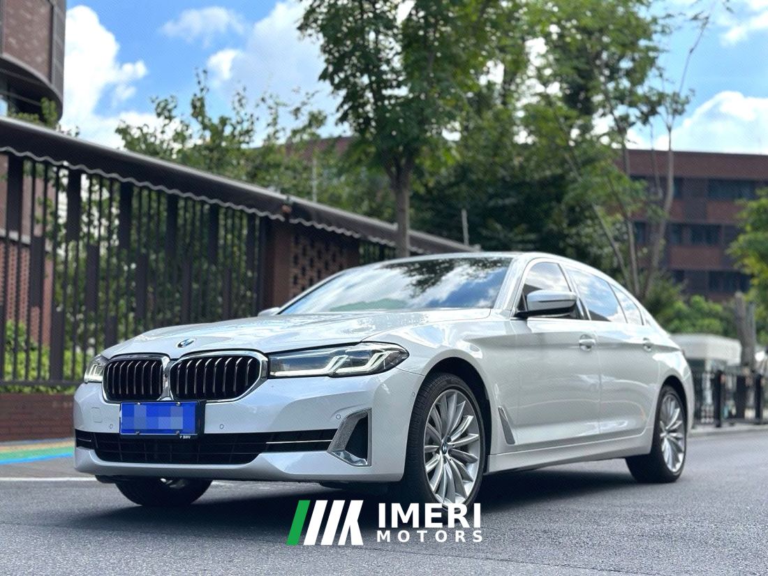 BMW 5 Series 530Li Luxury Edition M Sport Package - car from China