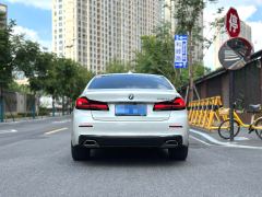 BMW 5 Series 530Li Luxury Edition M Sport Package - photo 8