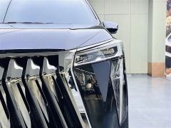 GAC Trumpchi M8 Master Series Dual-Engine 2.0T Flagship Edition 7-seater - photo 14