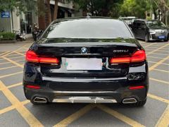 BMW 5 Series Facelift 530Li Luxury M Sport Package - ფოტო 16