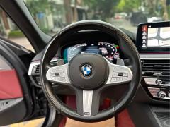 BMW 5 Series Facelift 530Li Luxury M Sport Package - ფოტო 5