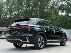 Geely Boyue 1.5T Longteng Edition - ფოტო 10