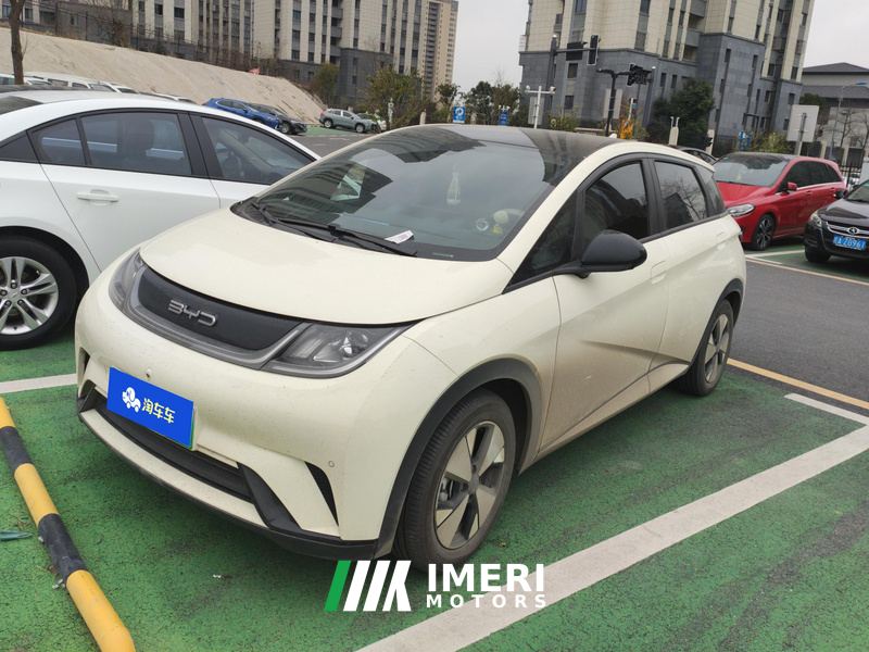 BYD Dolphin 420km Stylish Edition - ავტომობილი ჩინეთიდან