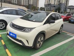 BYD Dolphin 420km Stylish Edition - ფოტო 1