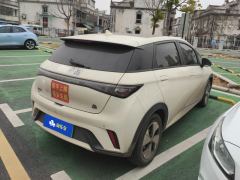 BYD Dolphin 420km Stylish Edition - ფოტო 2