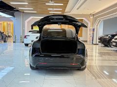 Tesla Model 3 Long Range All-Wheel Drive - фото 19
