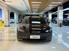 Tesla Model 3 Long Range All-Wheel Drive - фото 8