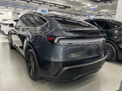 Tesla Model Y Rear-Wheel Drive - ფოტო 5