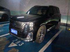 GAC Trumpchi GS8 Dual-Engine 2.0T 4WD Prestige Edition 6-seater - фото 1