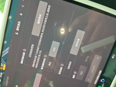 Tesla Model 3 634km Rear-Wheel Drive Edition - photo 20