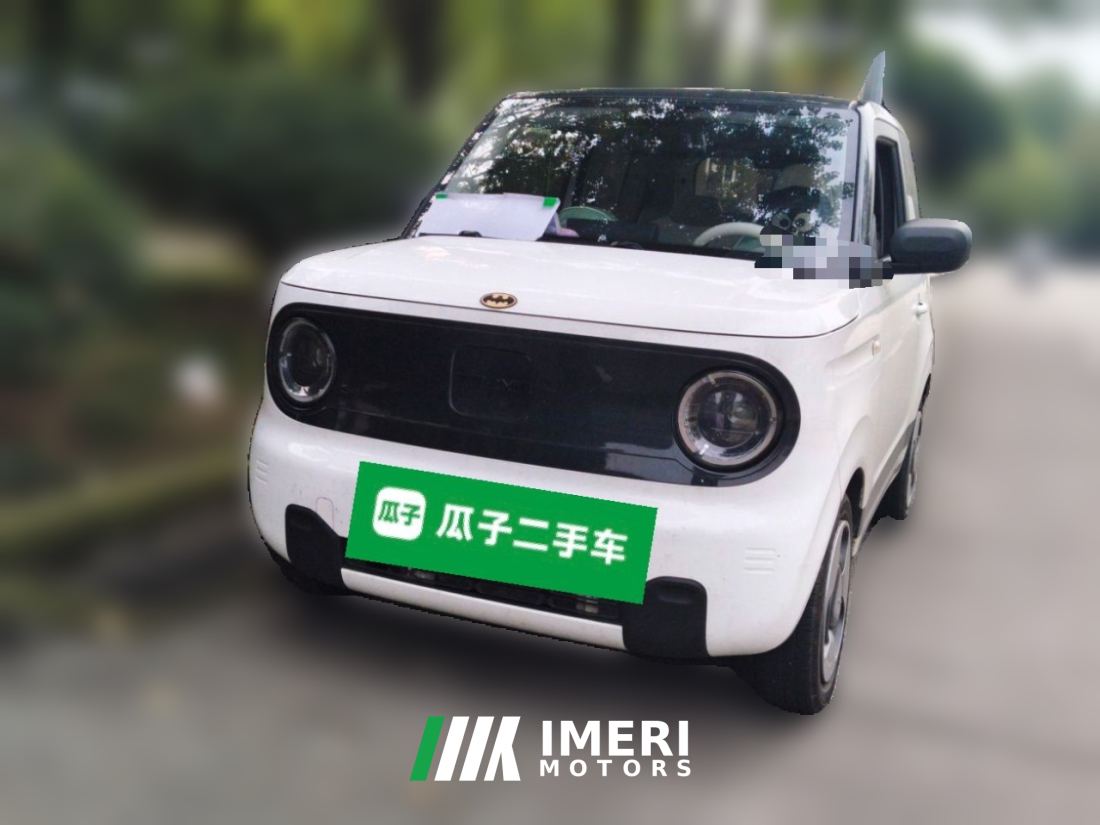 Geely Galaxy Panda mini 200km Animated Bear - ავტომობილი ჩინეთიდან