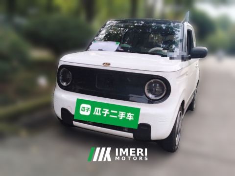 2023 Geely Galaxy Panda mini 200km Animated Bear