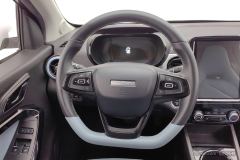 Chery Ant Edition 30kw 301km - ფოტო 15