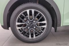 Chery Ant Edition 30kw 301km - ფოტო 6