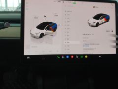 Tesla Model 3 556km Rear-Wheel Drive Edition - photo 20