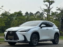 Lexus NX 350h 2WD Edition - ფოტო 1