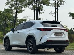 Lexus NX 350h 2WD Edition - ფოტო 4