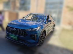Haval Chitu Jiqing Edition 1.5T Golden Rabbit - photo 1