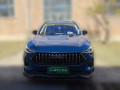 Haval Chitu Jiqing Edition 1.5T Golden Rabbit - photo 2