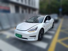 Tesla Model 3 556km Rear-Wheel Drive Edition - photo 1