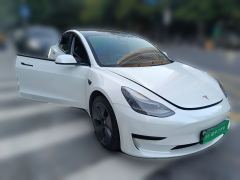 Tesla Model 3 556km Rear-Wheel Drive Edition - photo 3