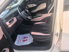 BYD Seagull 305km Free Version - ფოტო 14