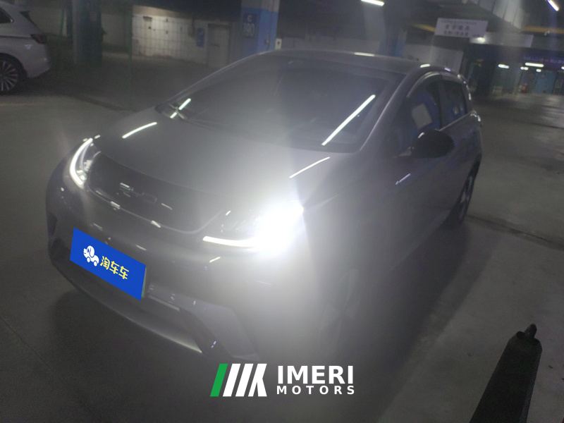 BYD Dolphin 420km Stylish Edition - car from China